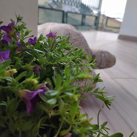 Apartamento Attico Gloria & Greta Castellammare del Golfo Exterior foto