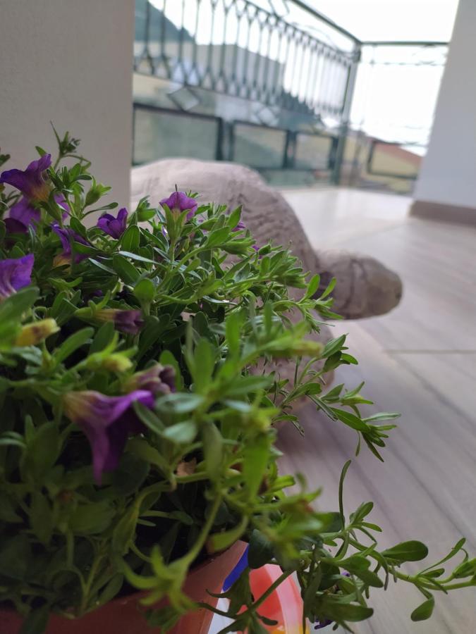 Apartamento Attico Gloria & Greta Castellammare del Golfo Exterior foto